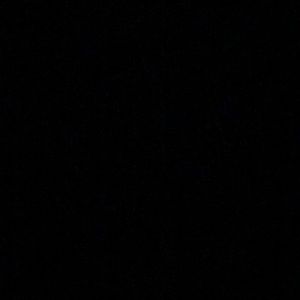 Meet your Posher, Jilli